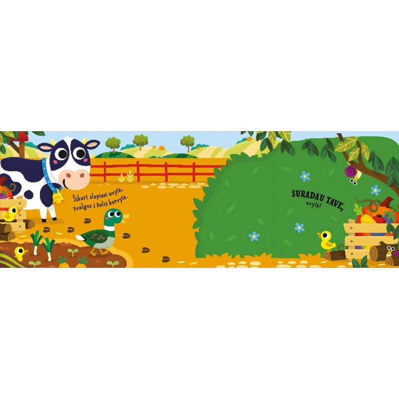 Ūkis. Slėpynės (iššokantys langeliai)