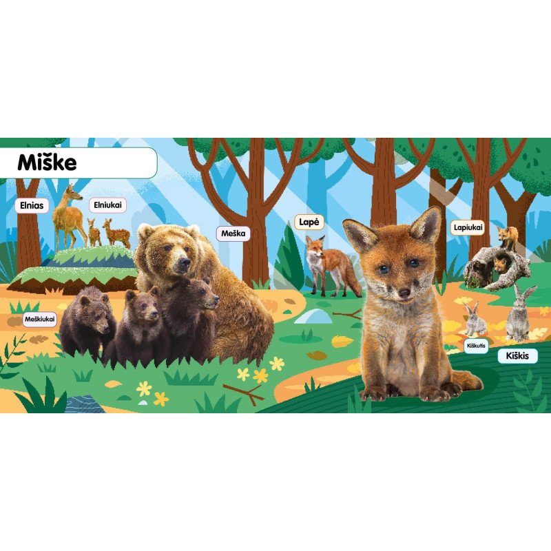 Minkštukai. Gyvūnų jaunikliai