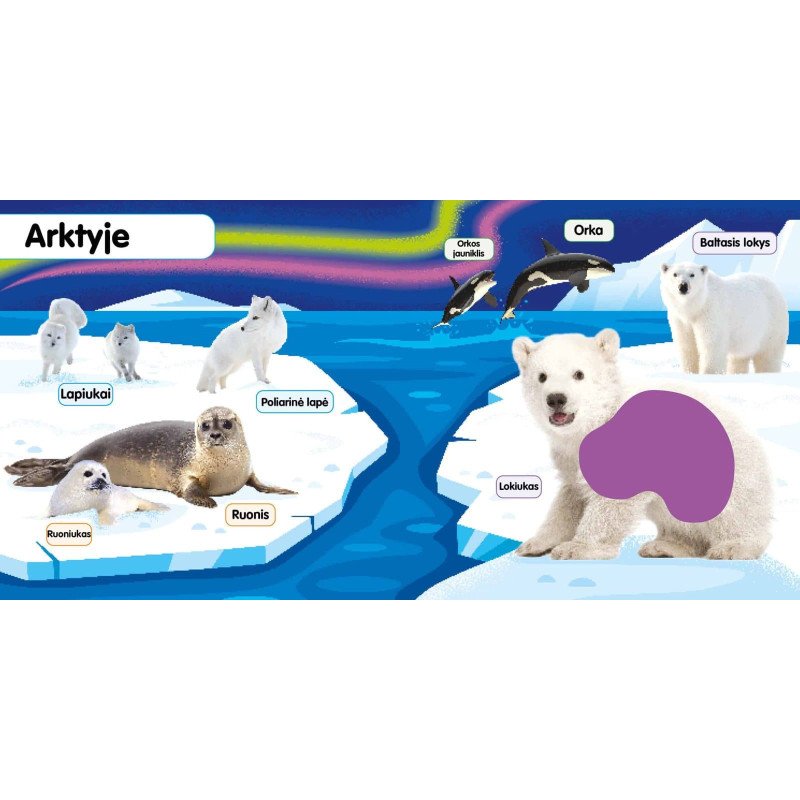 Minkštukai. Gyvūnų jaunikliai