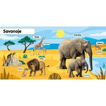 Minkštukai. Gyvūnų jaunikliai