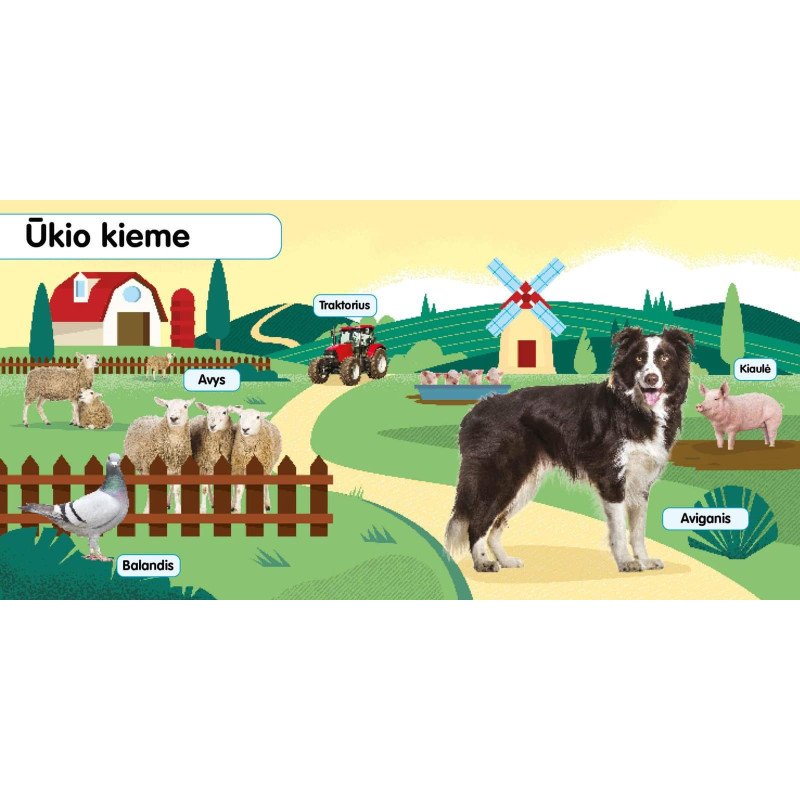 Minkštukai. Gyvūnų jaunikliai