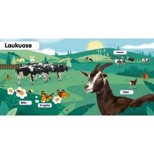 Minkštukai. Gyvūnų jaunikliai