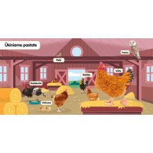 Minkštukai. Ūkio gyvūnai