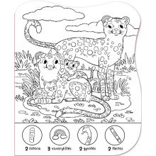 Surask ir nuspalvink. Džiunglės