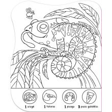 Surask ir nuspalvink. Džiunglės