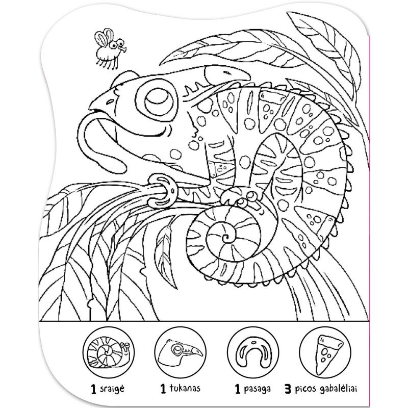 Surask ir nuspalvink. Džiunglės