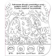 Surask ir nuspalvink. Džiunglės