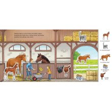 Ūkyje. Knygelė su magnetukais