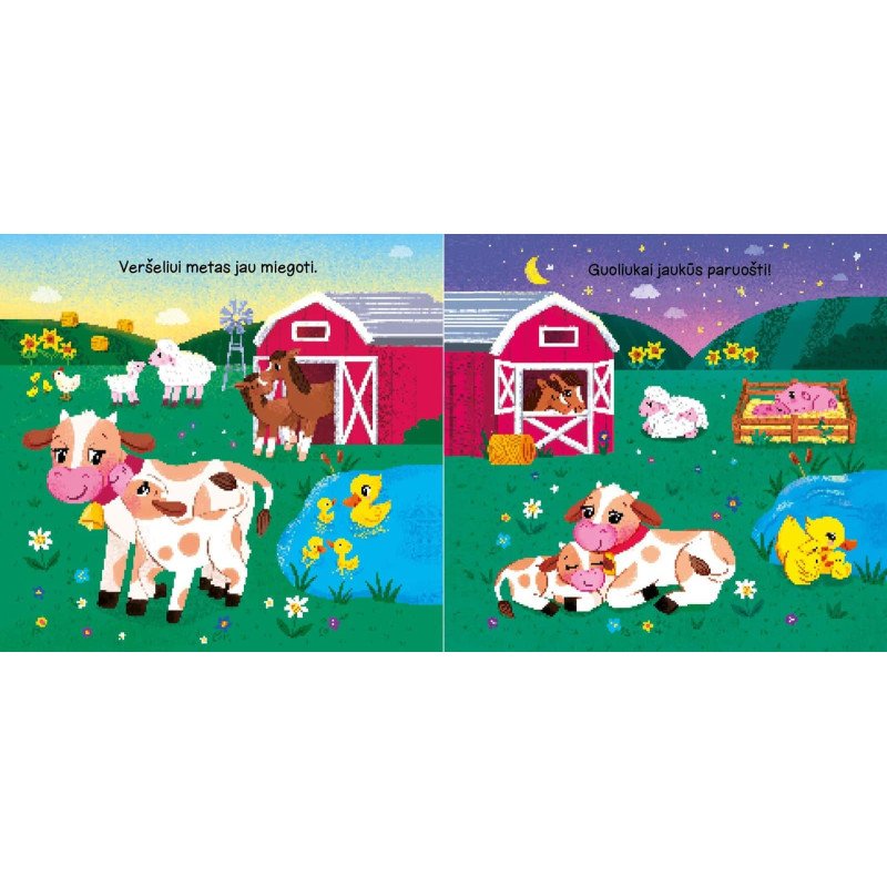 Ūkyje. Knygelė su magnetukais