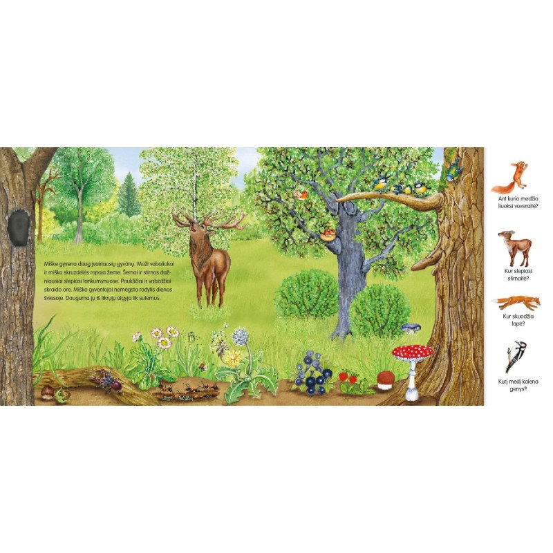 Ūkyje. Knygelė su magnetukais