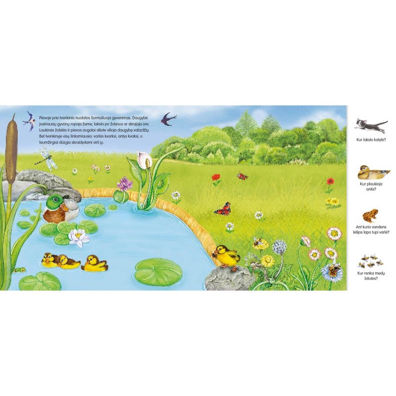 Ūkyje. Knygelė su magnetukais