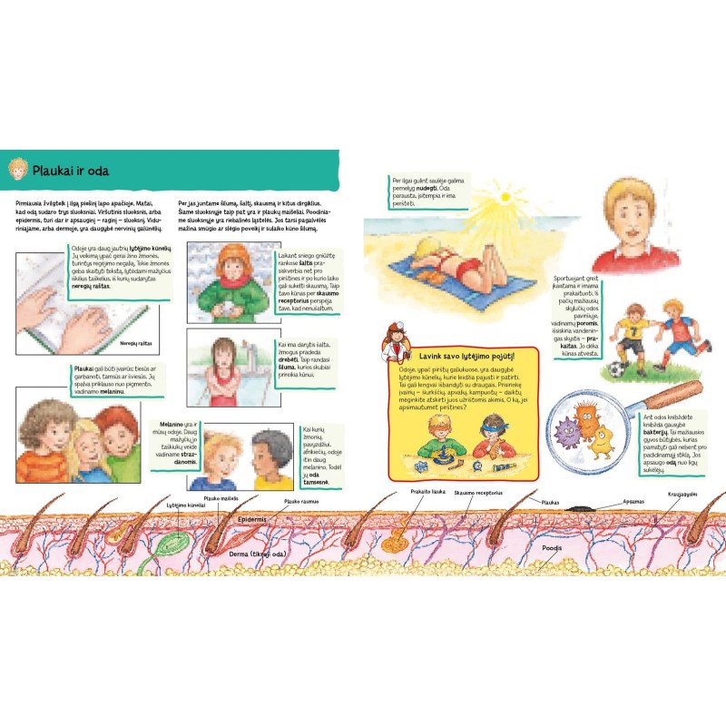 Ūkyje. Knygelė su magnetukais