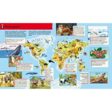 Ūkyje. Knygelė su magnetukais