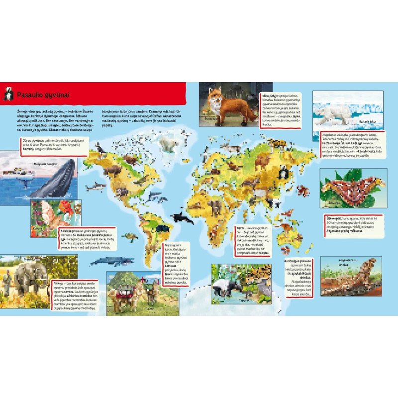 Ūkyje. Knygelė su magnetukais