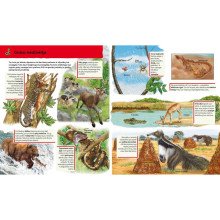 Ūkyje. Knygelė su magnetukais