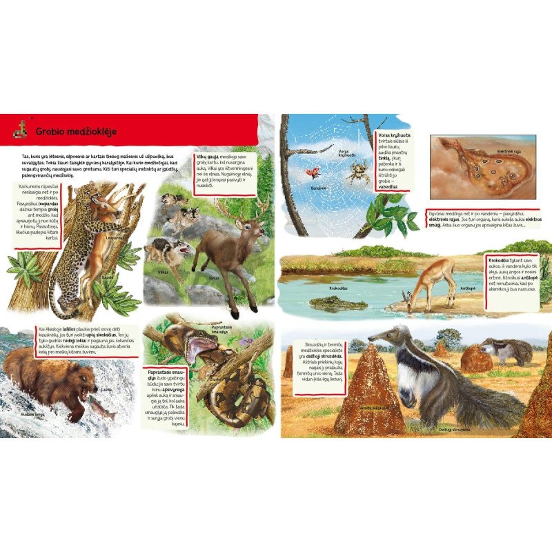 Ūkyje. Knygelė su magnetukais