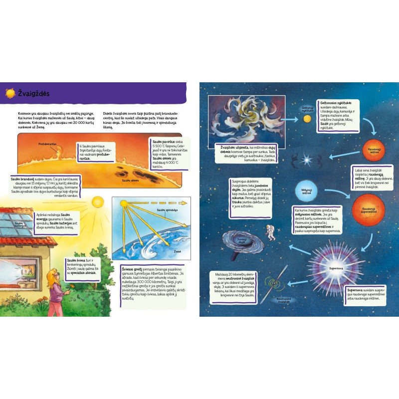 Ūkyje. Knygelė su magnetukais