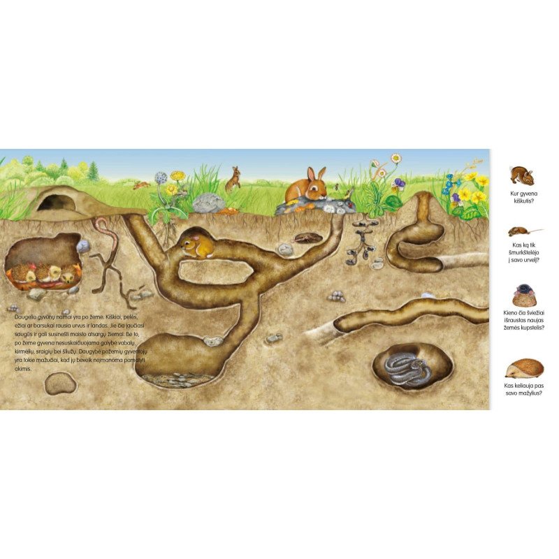 Gyvūnų pasaulyje. Knygelė su magnetukais