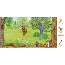 Gyvūnų pasaulyje. Knygelė su magnetukais