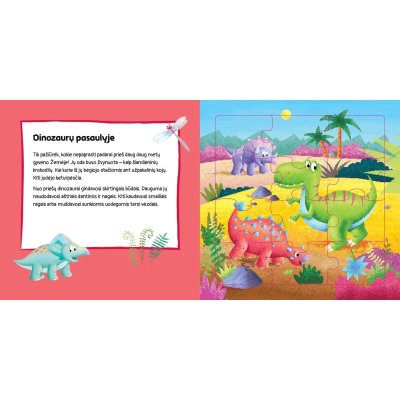 Dėlionių knyga. Dinozaurai