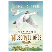 Stebuklingosios Nilso kelionės