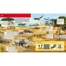 Mano kūnas. Vaikų žinių šaltinis