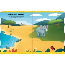 Raminantys raštai. Spalvinkite ir siekite ramybės