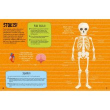 Žmogaus kūnas. Sužinok ir sužibėk