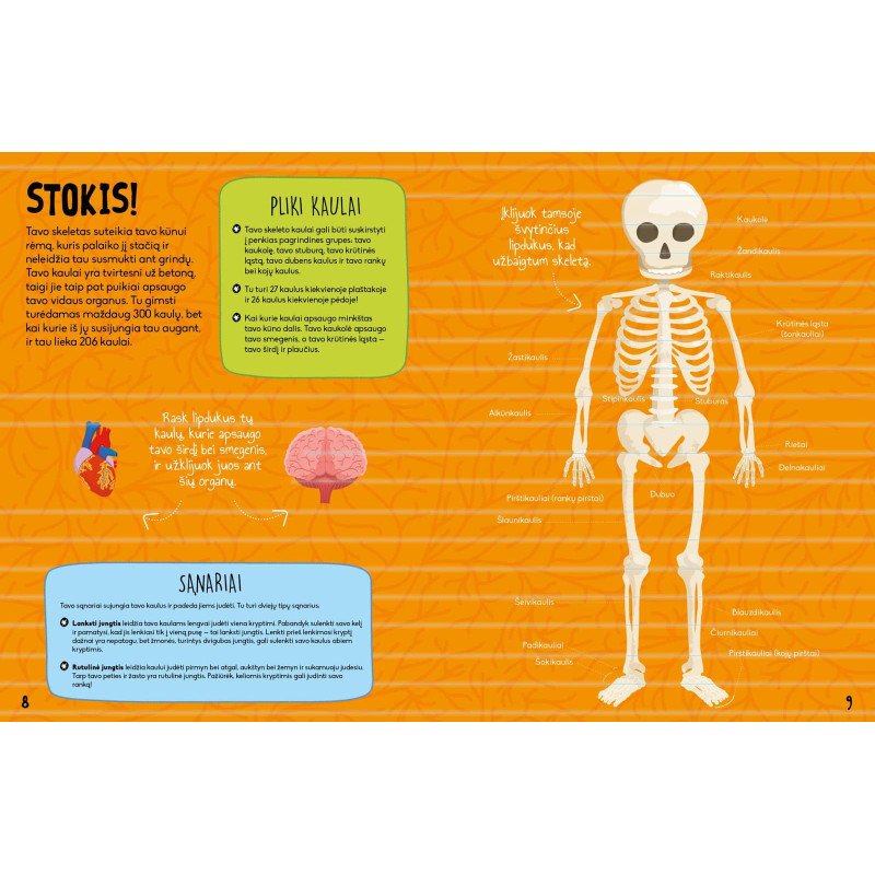 Žmogaus kūnas. Sužinok ir sužibėk