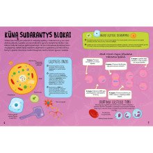 Žmogaus kūnas. Sužinok ir sužibėk