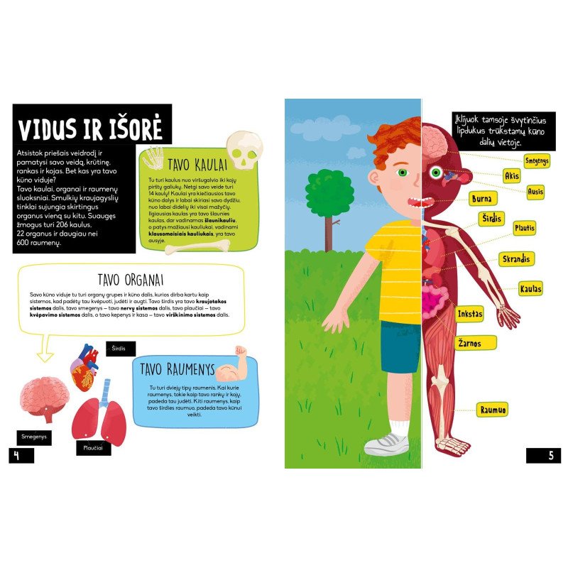 Žmogaus kūnas. Sužinok ir sužibėk