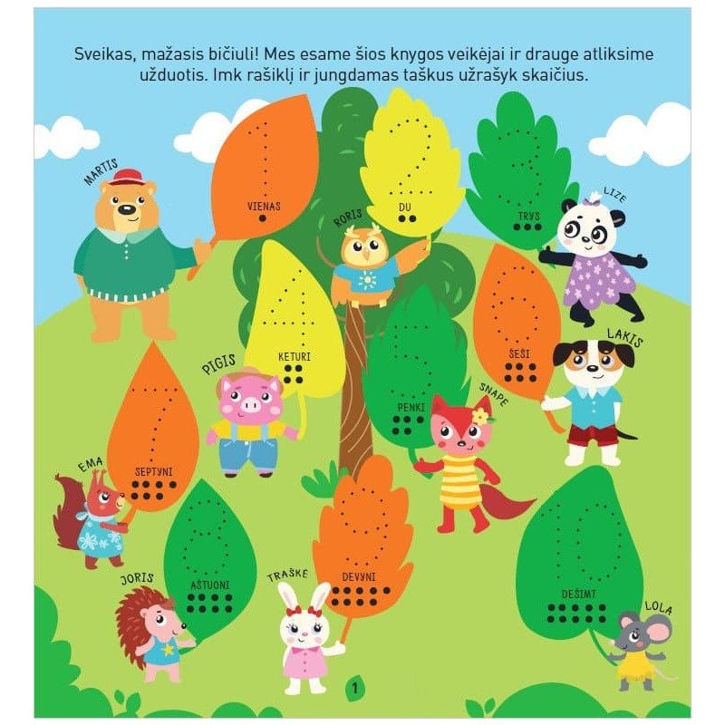 Miško matematika. Rašyk, trink ir vėl rašyk