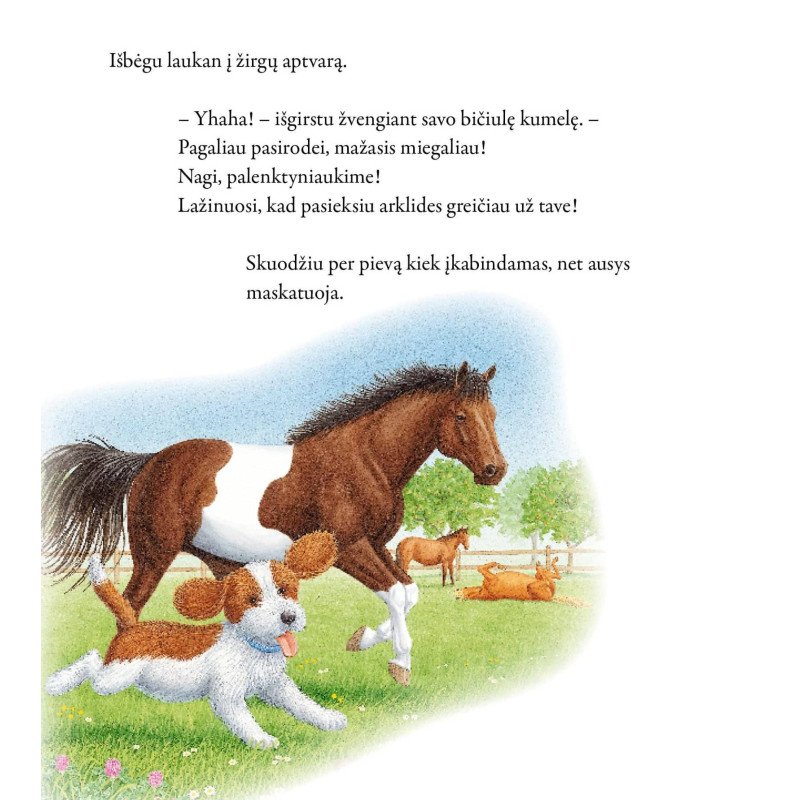 Mažasis šuniukas ir kitos istorijos
