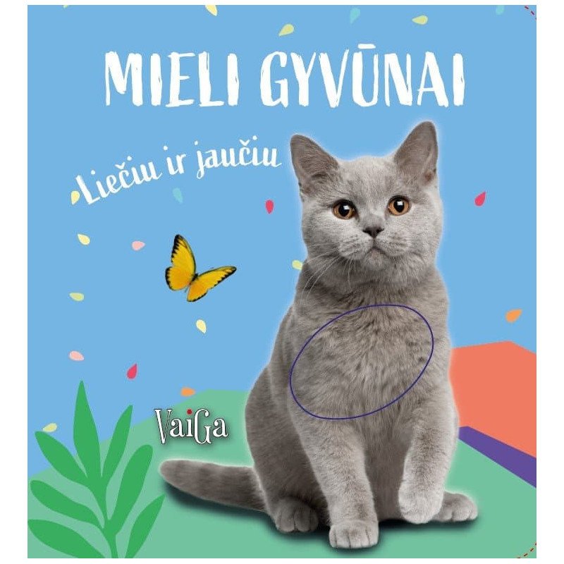 Mieli gyvūnėliai. Liečiu ir jaučiu. Kačiukas