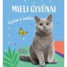 Mieli gyvūnėliai. Liečiu ir jaučiu. Kačiukas