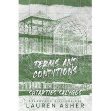 Terms and Conditions. Sutarties sąlygos