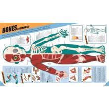 Brilliant Human Body