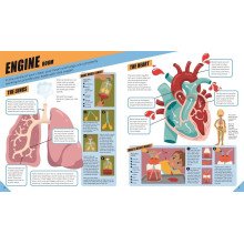 Brilliant Human Body