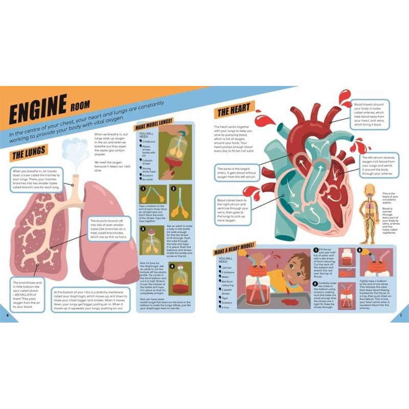 Brilliant Human Body