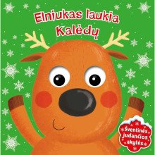 Elniukas laukia Kalėdų