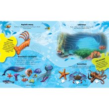 Jūros gelmėse. Lipdukų ir veiklos knyga