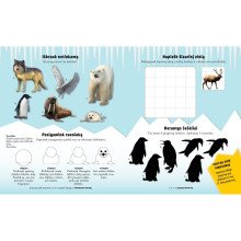 Arktis. Lipdukų ir veiklos knyga