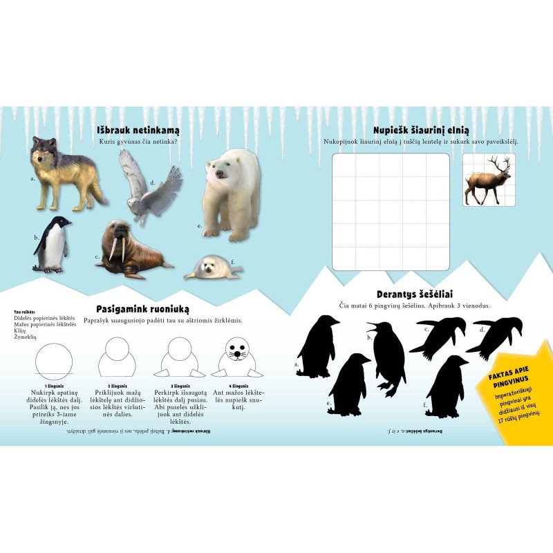 Arktis. Lipdukų ir veiklos knyga