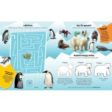 Arktis. Lipdukų ir veiklos knyga