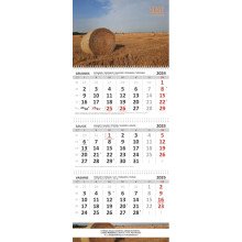 Sieninis kalendorius 2025 m. Rugiapjūtė(3 mėn.)