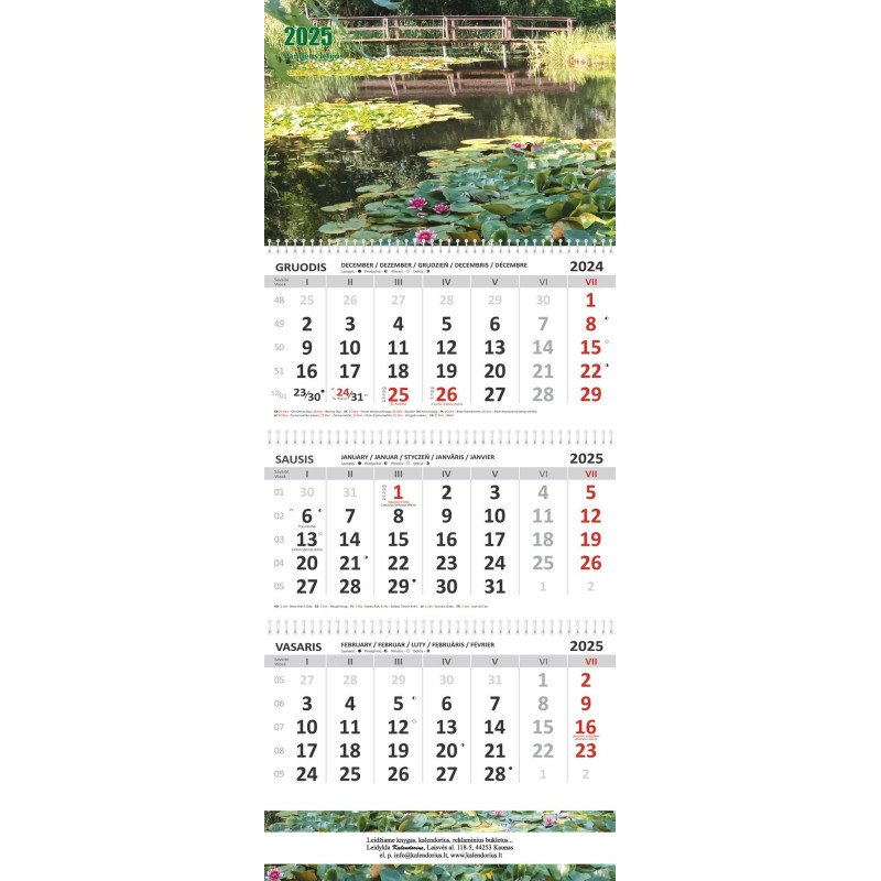 Sieninis kalendorius 2025 m. Vandens lelijos(3 mėn.)