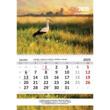 Sieninis kalendorius 2025 m. Ruduo Vilniuje (1mėn.)
