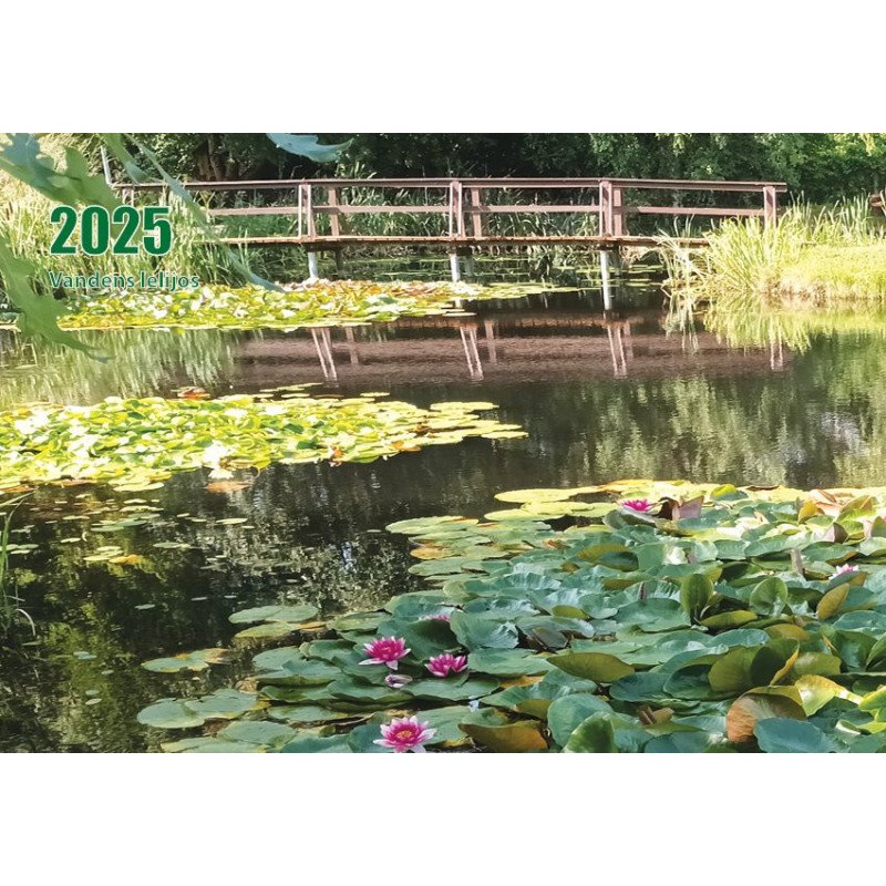 Sieninis kalendorius 2025 m. Vandens lelijos (1mėn.)