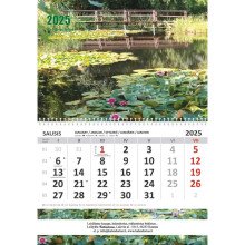 Sieninis kalendorius 2025 m. Vandens lelijos (1mėn.)