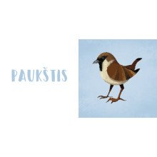 Apie miško žvėris. Mano pirmoji knyga